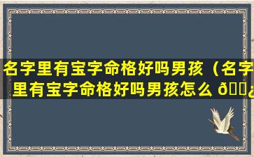 名字里有宝字命格好吗男孩（名字里有宝字命格好吗男孩怎么 🌿 取名）